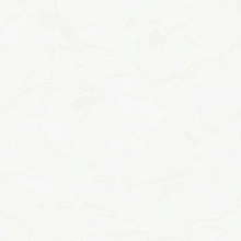 Grandeco Spring R148031