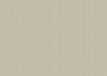 Обои в тропическом стиле Zambaiti Architexture 2 Z57707